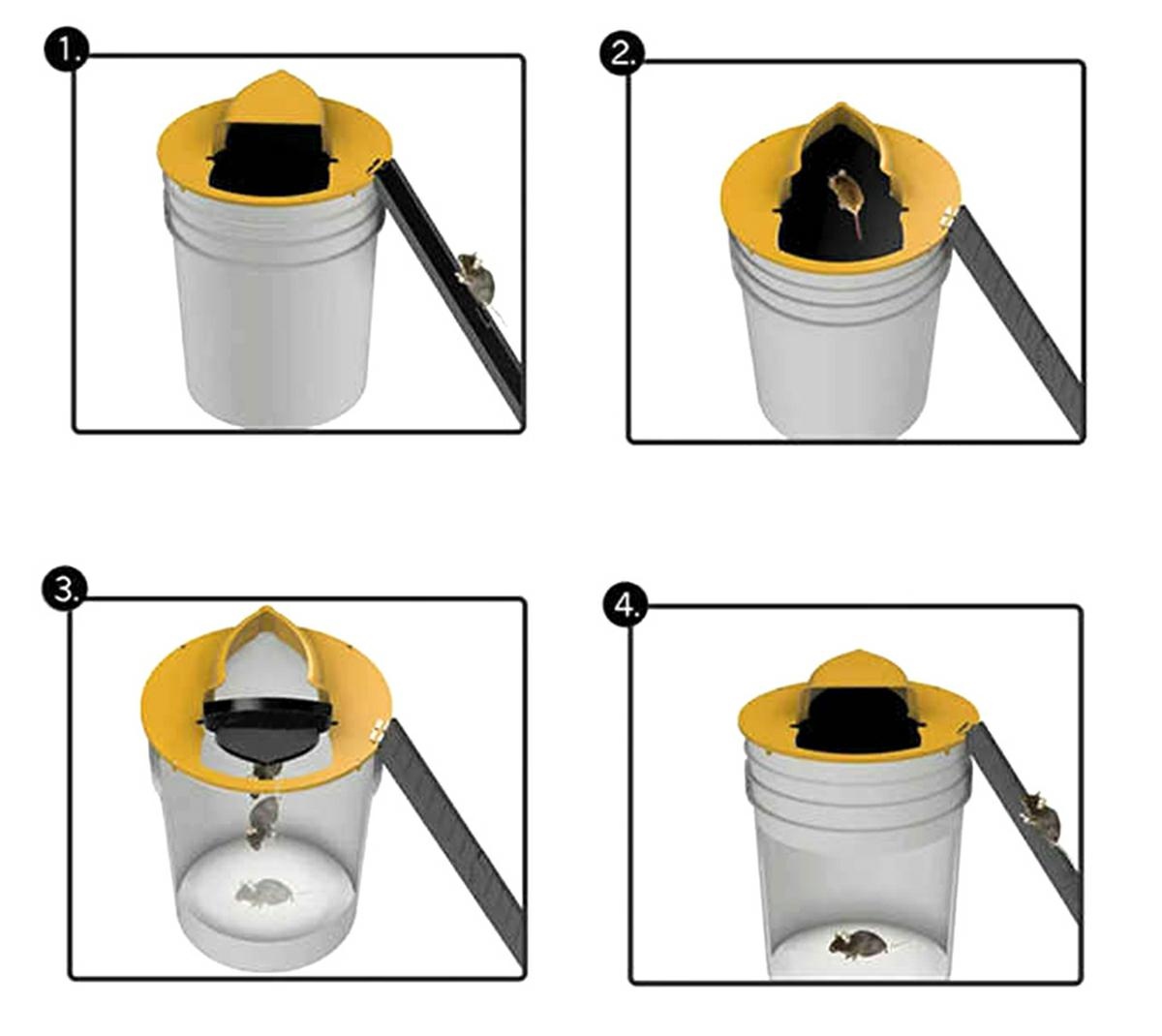Humánna kvalitná  pasca na myši a hlodavce